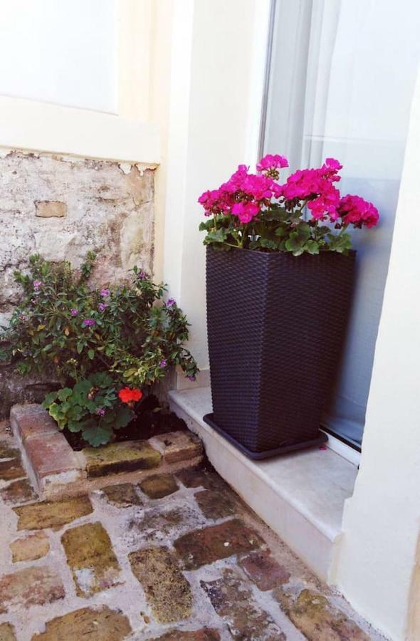 Anemomilos Jacuzzi Suite Corfu  Екстериор снимка
